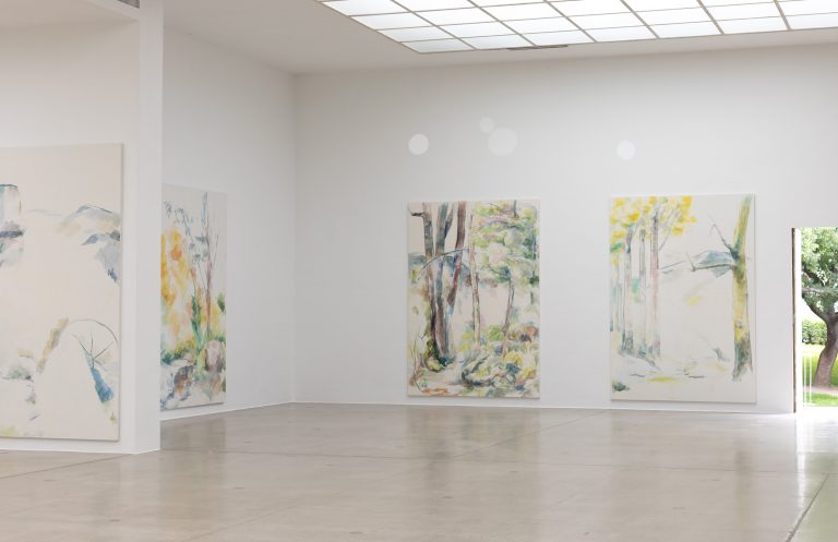 1748352656_ms5Ka9EeGErU-768x497.jpg