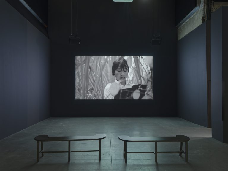 Thao-Nguyen-Phan-Palm-of-the-Hands-Moving-Images-Palais-de-Tokyo-Foto-Aurelien-Mole.-195_courtesy-Gal.-ZINK-768x576.jpg